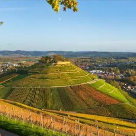 Gemuetliche City-wohnung Mit Charme Entdecken Sie Lejlighed Weinsberg